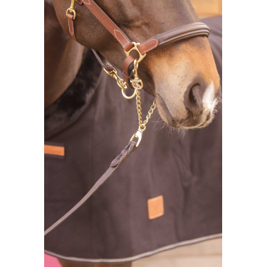 Lunga presentazione 2,25 m Paddock Sport Marrone