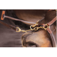 Lunga presentazione 2,25 m Paddock Sport Marrone Lunga presentazione 2,25 m Paddock Sport Marrone