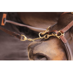 Lunga presentazione 2,25 m Paddock Sport Marrone