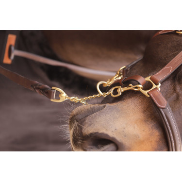 Lunga presentazione 2,25 m Paddock Sport Marrone