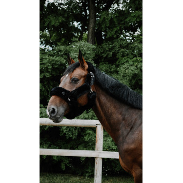 Capezza Je t'aime Equithème Snuggy Nero