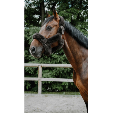 Capezza Je t'aime Equithème Snuggy Marrone