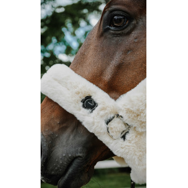 Capezza Je t'aime Equithème Snuggy Ecrù Bianco