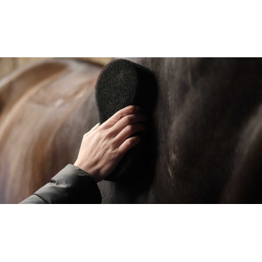 Spugna Lami-Cell Shine scrubber Nero