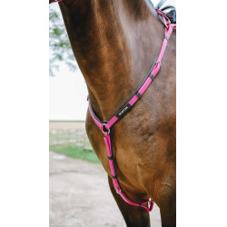 Pettorale Endurance Norton Pop Rosa