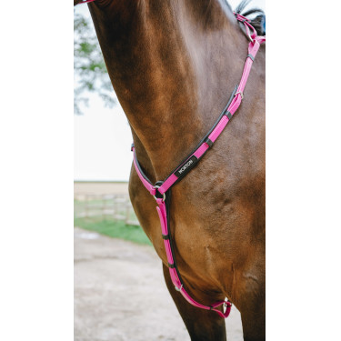 Pettorale Endurance Norton Pop Rosa