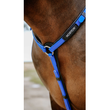 Pettorale Endurance Norton Pop Blu reale