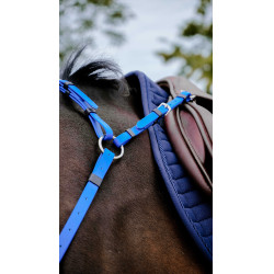 Pettorale Endurance Norton Pop Blu reale
