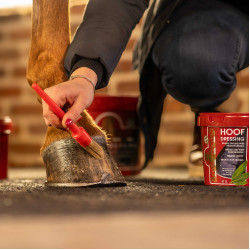 Kevin Bacon's Hoof Dressing Inverno grasso per zoccoli Kevin Bacon's Hoof Dressing Inverno grasso per zoccoli