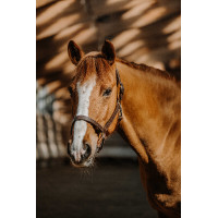 Capezza Norton US Avana Marrone