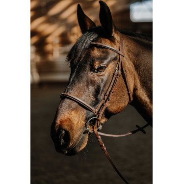 Bridon Norton Hunter soft Marrone
