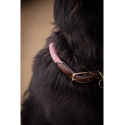 Collare per cane Penelope Billie Rosa / lurex