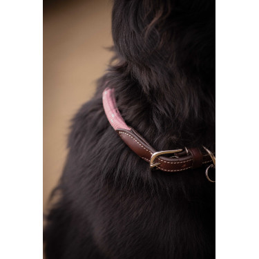 Collare per cane Penelope Billie Rosa / lurex