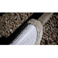 Ammortizzatore Equithème Combo Master