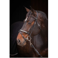 Briglia Pénélope Symphonie Avana Marrone