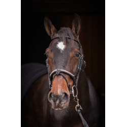 Briglia Pénélope Symphonie Nero