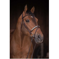 Briglia Pénélope Symphonie Avana Marrone