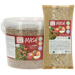 Mash Hippotonic Mela Mash Hippotonic Mela