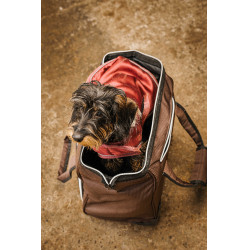 Borsa per strigliatura con rotelle Equithème Marrone