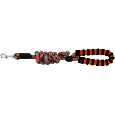 Guinzaglio per cane con manico EQUITHÈME - Haspen Nero / manico arancione Guinzaglio per cane con manico EQUITHÈME - Haspen Nero / manico arancione