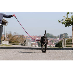 Guinzaglio per cane con manico EQUITHÈME - Haspen Nero / manico lampone
