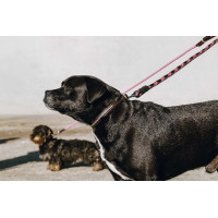 Guinzaglio per cane con manico EQUITHÈME - Haspen Nero / manico lampone Guinzaglio per cane con manico EQUITHÈME - Haspen Nero / manico lampone