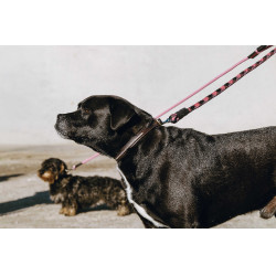 Guinzaglio per cane con manico EQUITHÈME - Haspen Nero / manico lampone