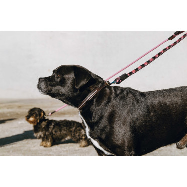 Guinzaglio per cane con manico EQUITHÈME - Haspen Nero / manico lampone Guinzaglio per cane con manico EQUITHÈME - Haspen Nero / manico lampone