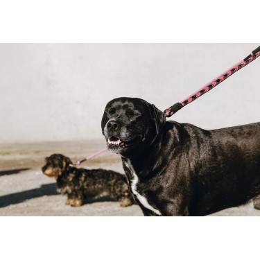 Guinzaglio per cane con manico EQUITHÈME - Haspen Nero / manico lampone Guinzaglio per cane con manico EQUITHÈME - Haspen Nero / manico lampone