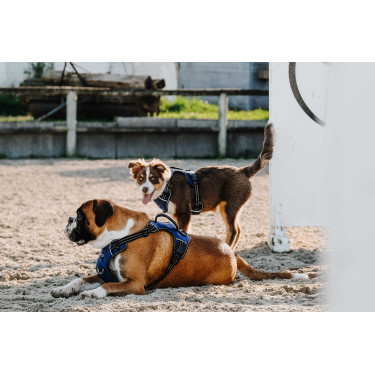 Imbracatura per cani RIDING WORLD - Simba Marina Blu marino