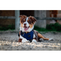 Imbracatura per cani RIDING WORLD - Simba Marina Blu marino