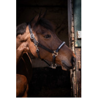 Capezza Pénélope Harmonie