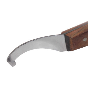 Renetta arcuata Michel Vaillant