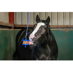 Leccornie Likit Granola Light