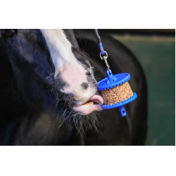 Leccornie Likit Granola Light