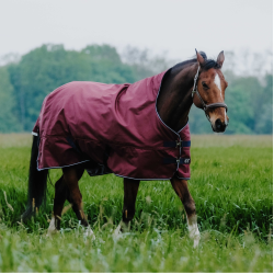 Coperta Equithème TYREX 1200D High Neck Bordeaux Coperta Equithème TYREX 1200D High Neck Bordeaux