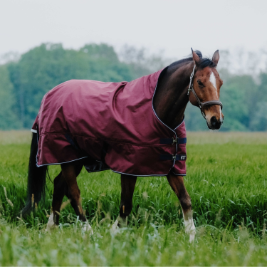 Coperta Equithème TYREX 1200D High Neck Bordeaux Coperta Equithème TYREX 1200D High Neck Bordeaux