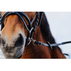 Redini in gomma Norton Training PVC Nero