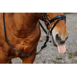 Redini in gomma Norton Training PVC Nero