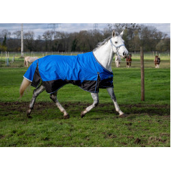 Coperta Equithème Tyrex Aisance 1200D Blu reale Coperta Equithème Tyrex Aisance 1200D Blu reale