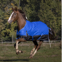 Coperta Equithème Tyrex Aisance 1200D Blu reale Coperta Equithème Tyrex Aisance 1200D Blu reale