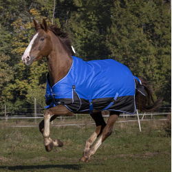 Coperta Equithème Tyrex Aisance 1200D Blu reale Coperta Equithème Tyrex Aisance 1200D Blu reale