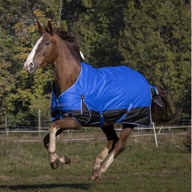 Coperta Equithème Tyrex Aisance 1200D Blu reale Coperta Equithème Tyrex Aisance 1200D Blu reale