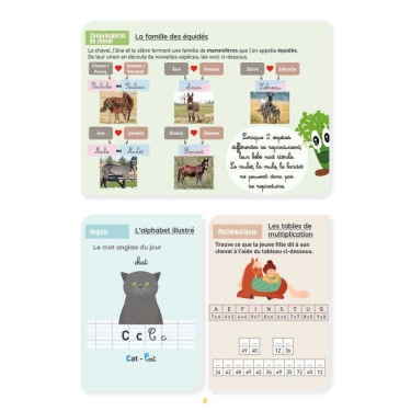 Il mio quaderno di attività livello CM2 Lavauzelle