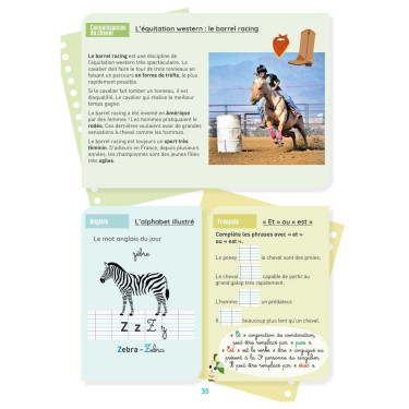 Il mio quaderno di attività - Livello CE2 LAVAUZELLE