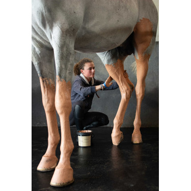 Argilla rosa Pénélope Terra Clay