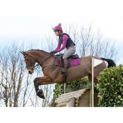 Intimo tecnico My LeMieux Prugna / grigio Viola