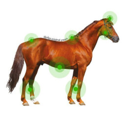 Crema Animaderm Derfen™ Original