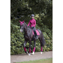 Tappetino LeMieux Suede Dressage Square Mora Bordeaux Tappetino LeMieux Suede Dressage Square Mora Bordeaux