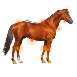 Crema Animaderm Derfen™ Clear